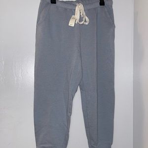 NWT Aerie Sky Blue Jogger Sweatpants Women’s Size Medium